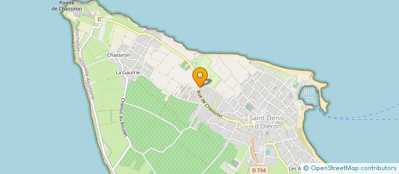 localisation de l'entreprise NETTOYAGE 17  SAINT-DENIS-D'OLERON