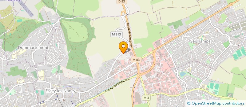 localisation de l'entreprise NETTOYAGE DE LA PELLETERIE  ESSEY-LES-NANCY