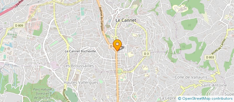 localisation de l'entreprise NETWORK INTERIM CANNES à LE CANNET