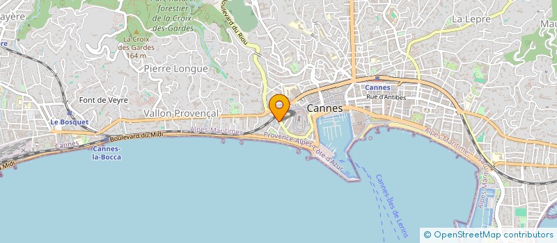 localisation de l'entreprise NETWORK SERVICES à CANNES