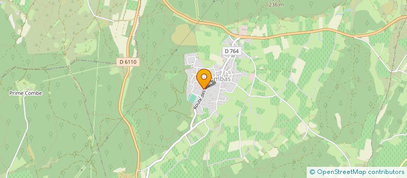 localisation de l'entreprise NEURO BUSINESS CONSEIL  COMBAS