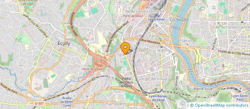 localisation de l'entreprise NEUVIEME AUTO à LYON