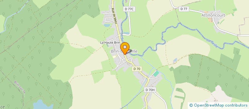 localisation de l'entreprise NEVERHOME  BRIN-SUR-SEILLE