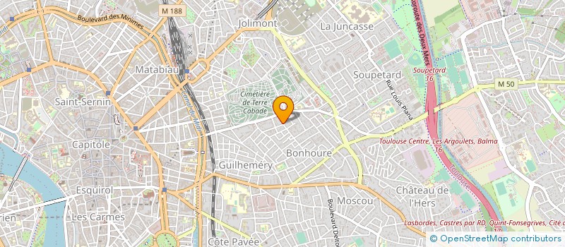 localisation de l'entreprise NEVIS à TOULOUSE