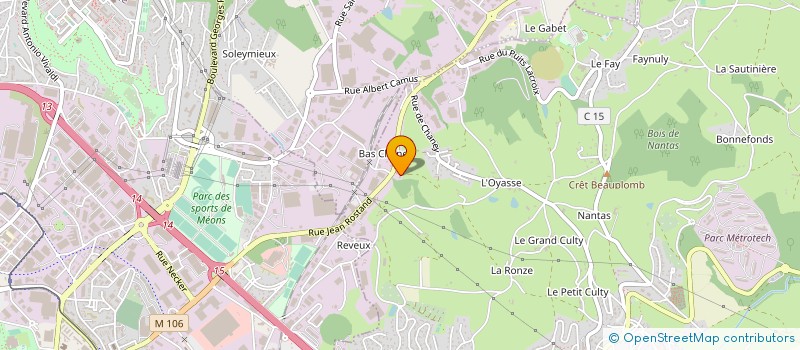 localisation de l'entreprise NEW BOSS  SAINT-JEAN-BONNEFONDS