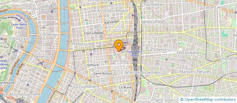 localisation de l'entreprise NEW CHOUS  LYON