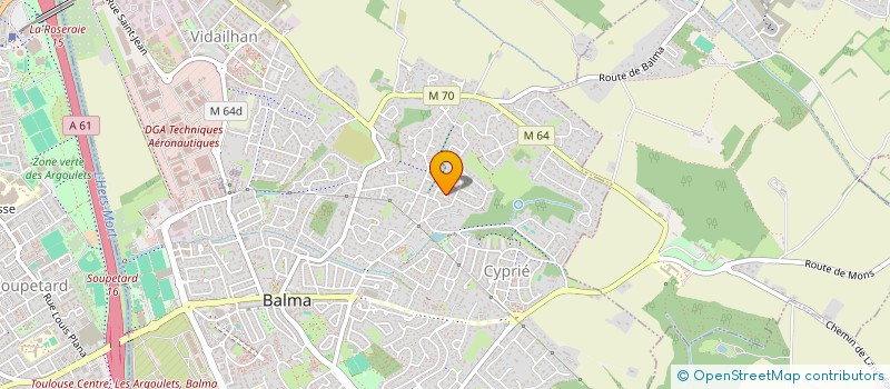 localisation de l'entreprise NEW DELICES à BALMA