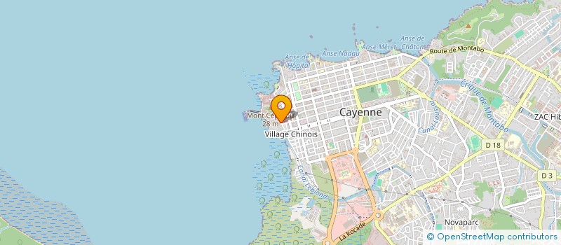 localisation de l'entreprise NEW DOMINO  CAYENNE