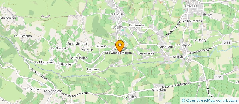 localisation de l'entreprise NEW EYES  COGNY