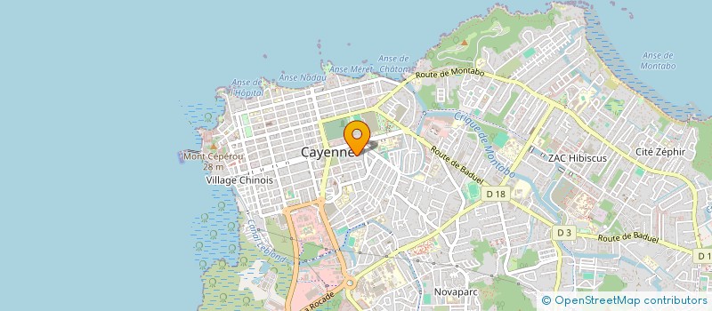 localisation de l'entreprise NEW JAZZ SCHOOL  CAYENNE