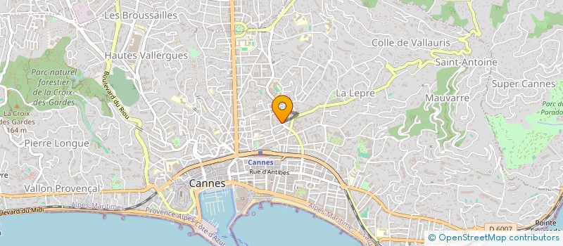 localisation de l'entreprise NEW LIFE HOLDING  CANNES