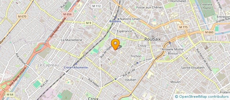 localisation de l'entreprise NEW LINE INFORMATIQUE SARL  ROUBAIX