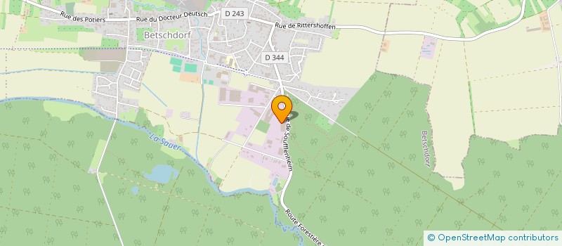 localisation de l'entreprise NEW LIVE INGENIERIE  BETSCHDORF