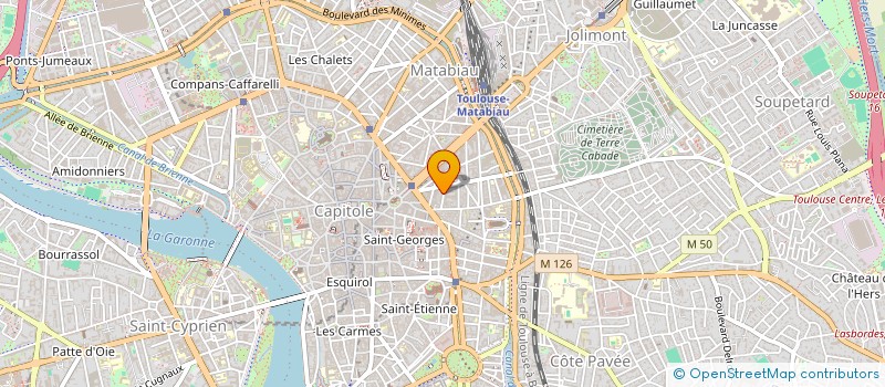localisation de l'entreprise NEW MILLESIME à TOULOUSE