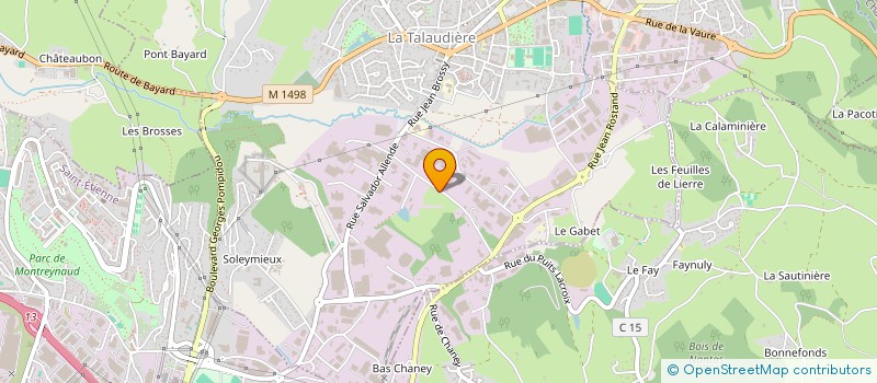 localisation de l'entreprise NEW NOISE & CO  LA TALAUDIERE