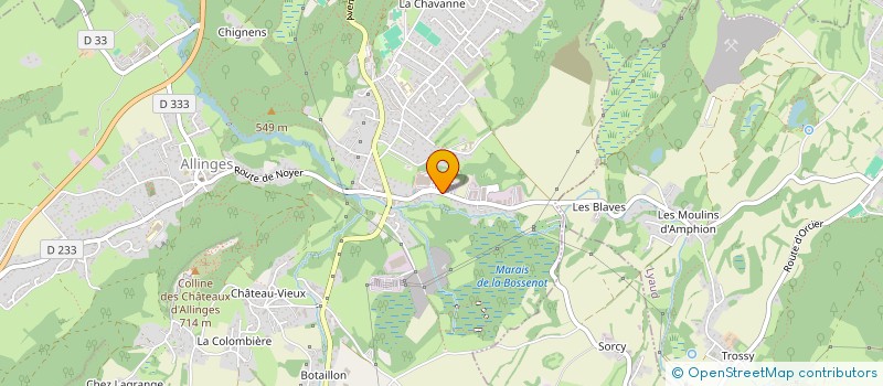 localisation de l'entreprise NEW TRANSPORT SERVICES  ALLINGES