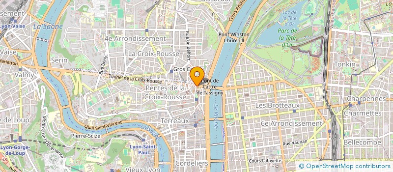 localisation de l'entreprise NEWBONE à LYON