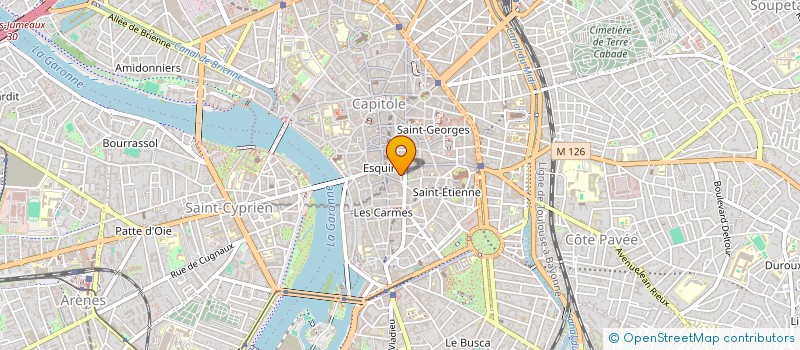 localisation de l'entreprise NEWCENDREE  TOULOUSE