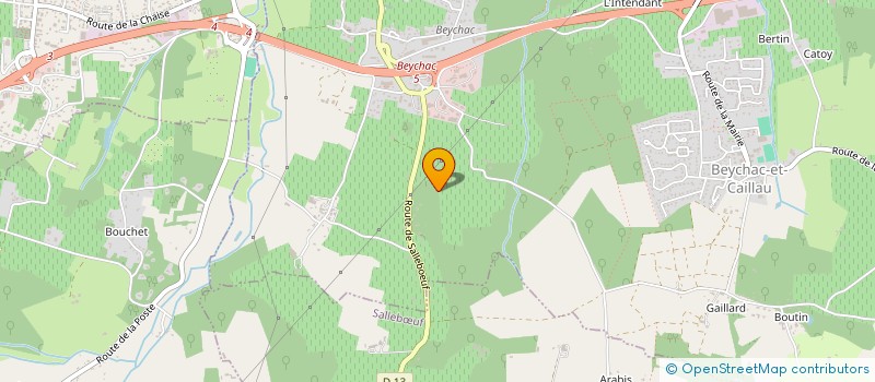 localisation de l'entreprise NEWGO LYON  BEYCHAC-ET-CAILLEAU