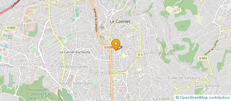 localisation de l'entreprise NEWRIZON à LE CANNET