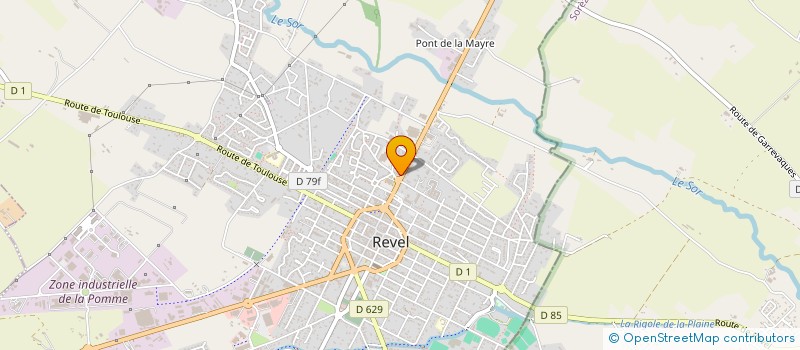 localisation de l'entreprise NEWTECHDENT à REVEL
