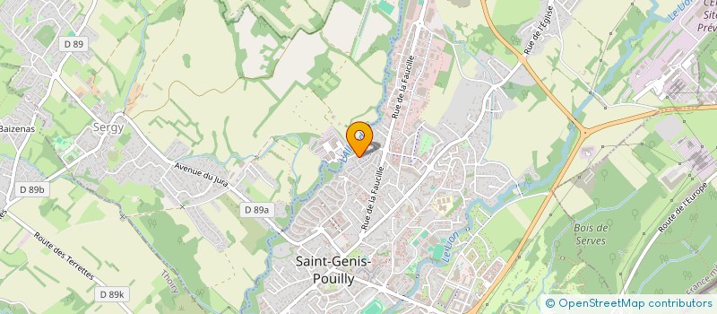 localisation de l'entreprise NEXT PARTY  SAINT-GENIS-POUILLY