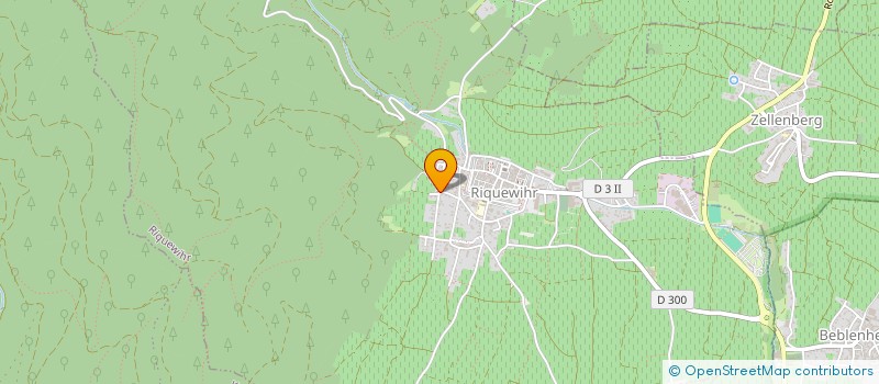 localisation de l'entreprise NG 30  RIQUEWIHR