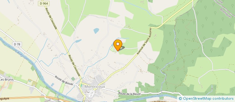 localisation de l'entreprise NGNT IMMO  MONTRICOUX