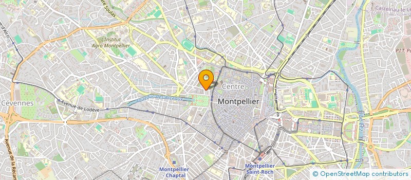 localisation de l'entreprise NGUYEN à MONTPELLIER
