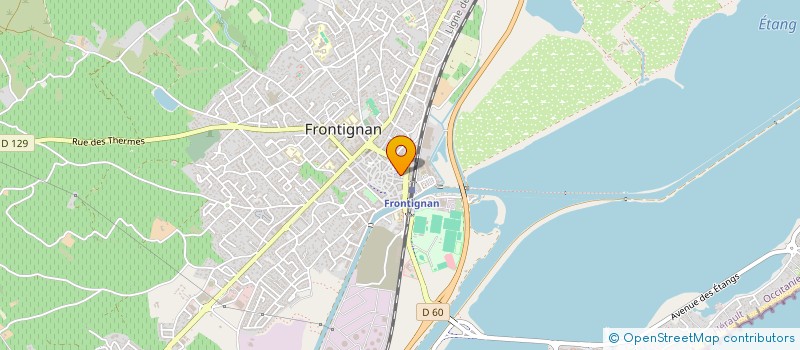 localisation de l'entreprise NGUYEN CGTY  FRONTIGNAN