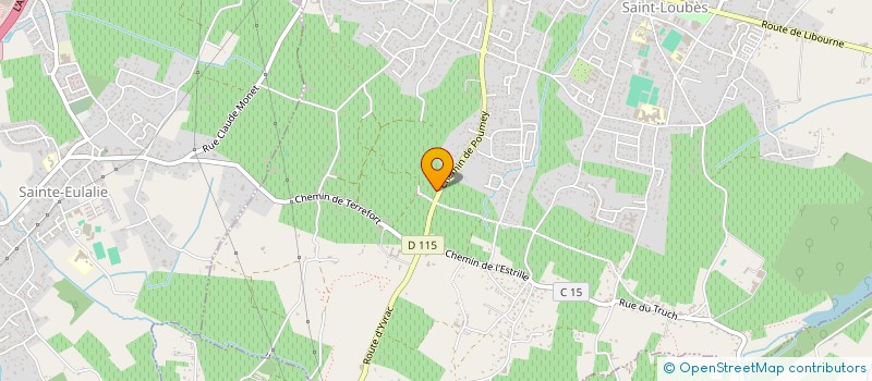 localisation de l'entreprise NGUYEN S&H  SAINT-LOUBES