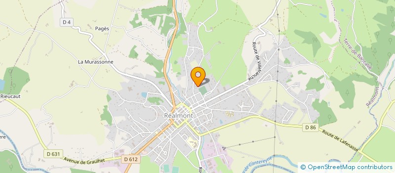 localisation de l'entreprise NGUYEN SARL  REALMONT