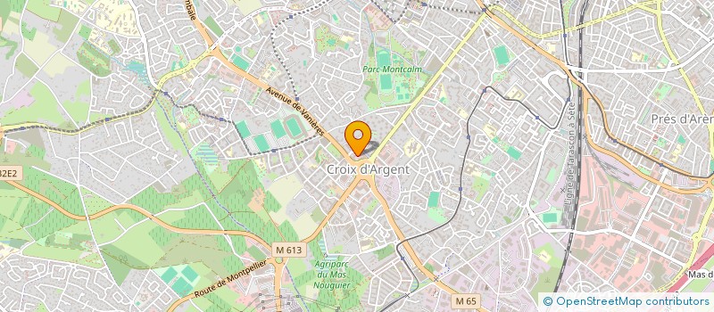 localisation de l'entreprise NICE ARENA  MONTPELLIER