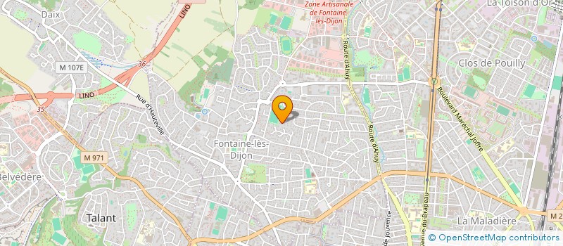 localisation de l'entreprise NICE IS NICE  FONTAINE-LES-DIJON