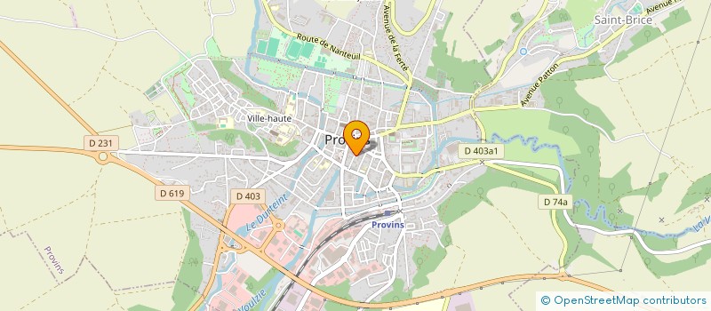 localisation de l'entreprise NICE PLACE IMMO  PROVINS