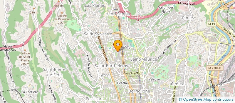 localisation de l'entreprise NICE RUSSIE à NICE