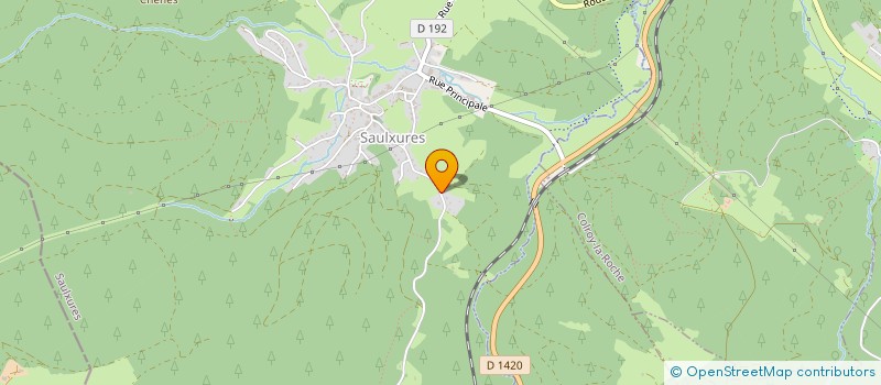 localisation de l'entreprise NICOLAS COITOUX  SAALES