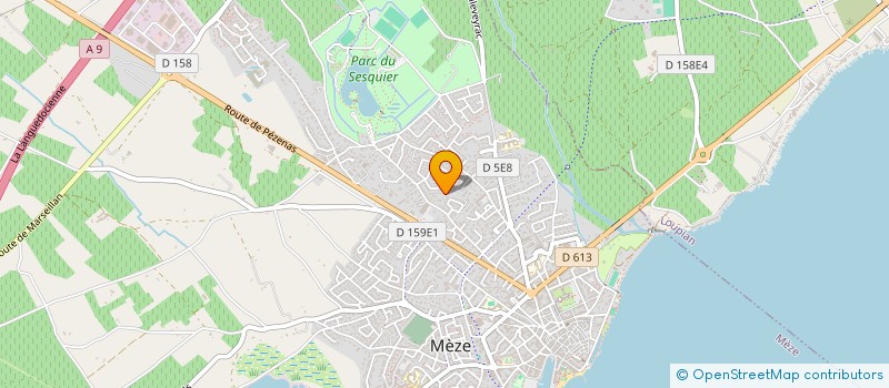 localisation de l'entreprise NICOLAS GAZ à MEZE