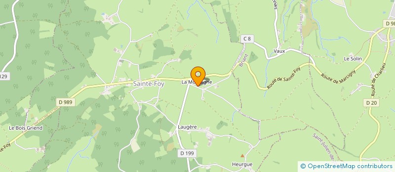 localisation de l'entreprise NICOLAS SERVICES EURL  SAINTE-FOY