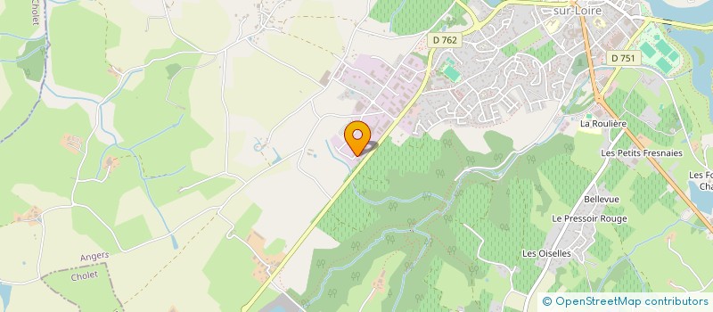 localisation de l'entreprise NICOLAS TERRIEN à CHALONNES-SUR-LOIRE