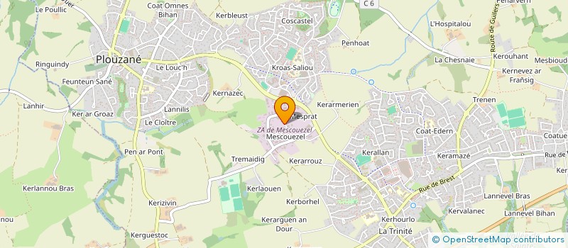 localisation de l'entreprise NICOLEO 33  PLOUZANE