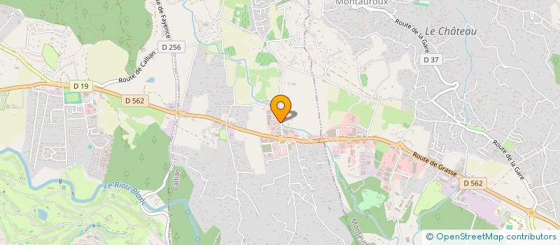 localisation de l'entreprise NICOLISA  CALLIAN