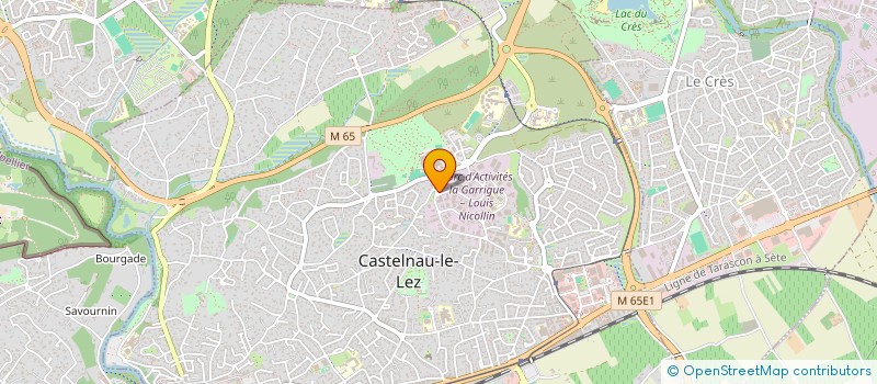 localisation de l'entreprise NICOLLIN ESPACES VERTS à CASTELNAU-LE-LEZ