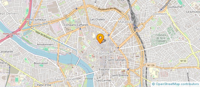 localisation de l'entreprise NICOLO à TOULOUSE