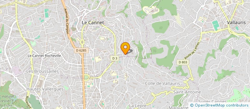 localisation de l'entreprise NICOMO à LE CANNET