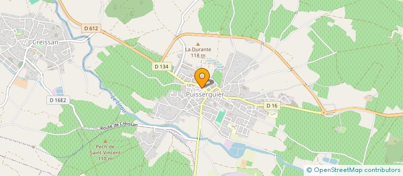 localisation de l'entreprise NICOPAG  PUISSERGUIER