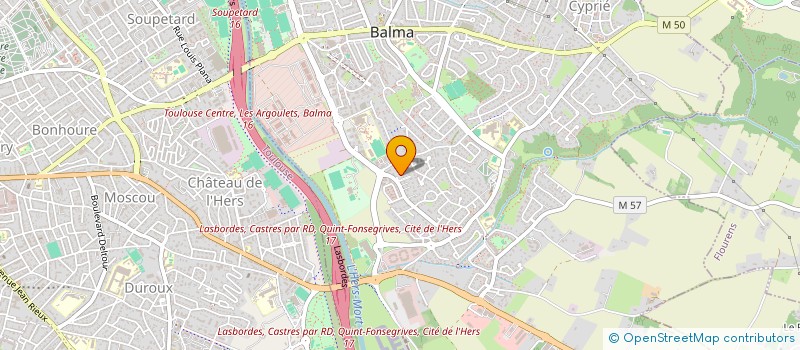 localisation de l'entreprise NICOULAOU à BALMA