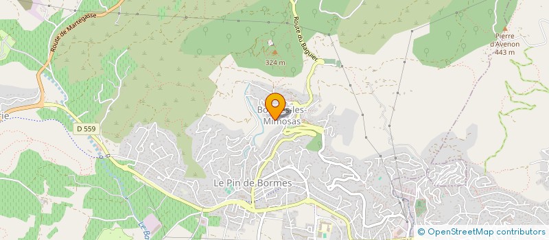 localisation de l'entreprise NICOVIDEO PRODUCTION  BORMES-LES-MIMOSAS