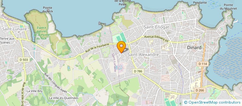 localisation de l'entreprise NIEBUHR & CO  DINARD