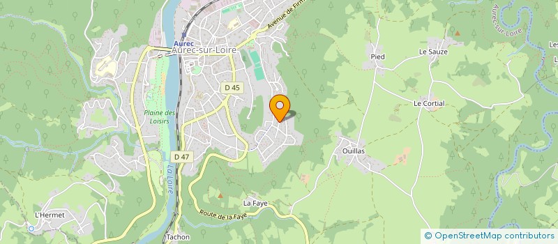 localisation de l'entreprise NIEV  AUREC-SUR-LOIRE